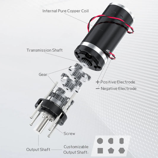 32GP-31ZY Miniature Planetary Reducer Motor Low Speed DC 12/24V   - Motor part diagram 